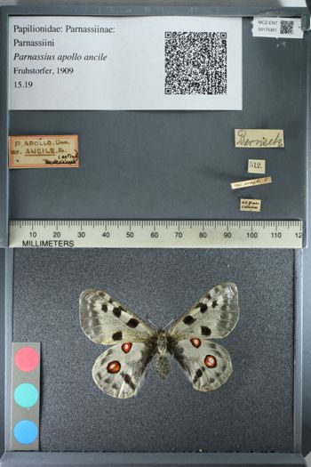 Media type: image;   Entomology 175361